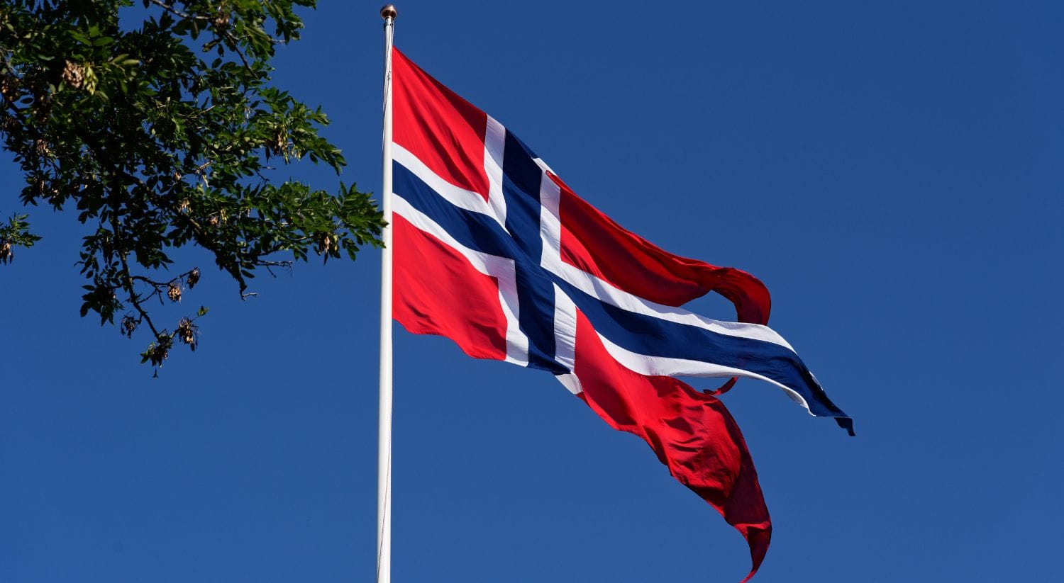 Norwegian