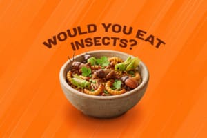 Comer insectos